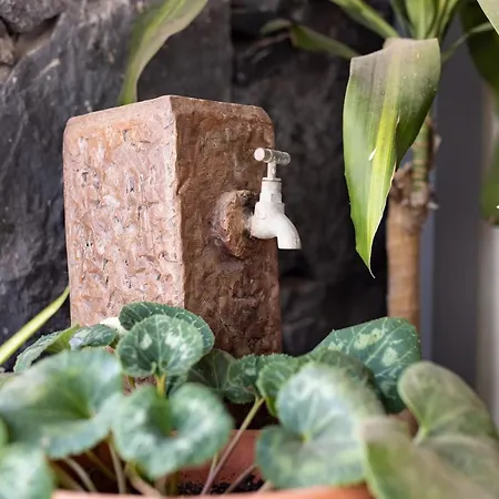 Casa La Rueda With Pool Вілла *